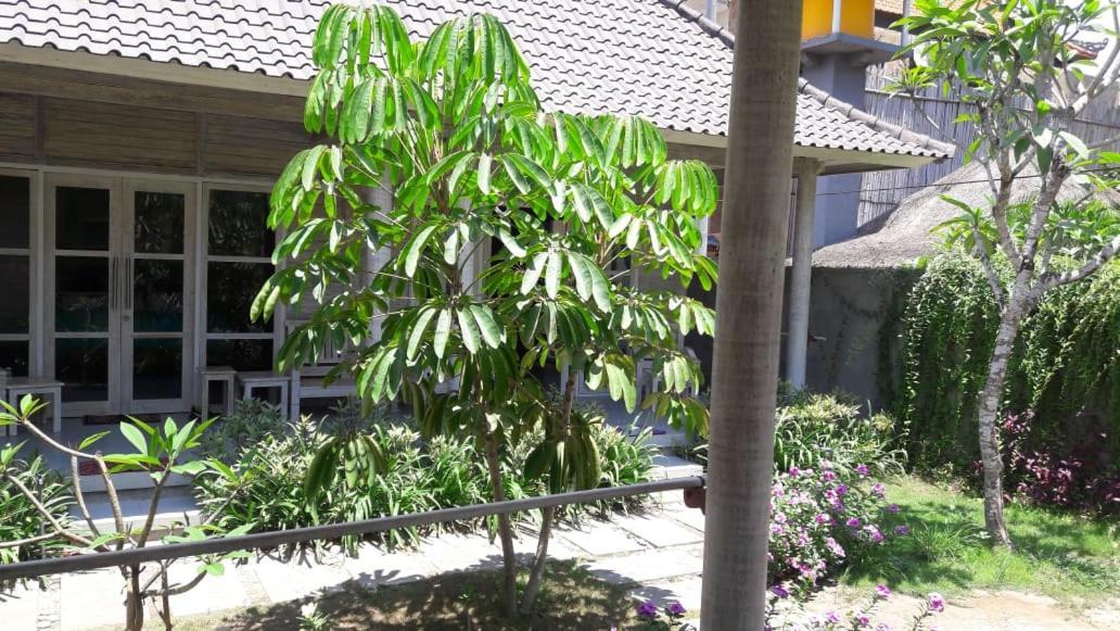 Vista Huts Lembongan Exterior foto